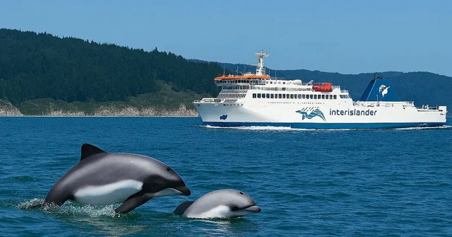 Picton Ferry