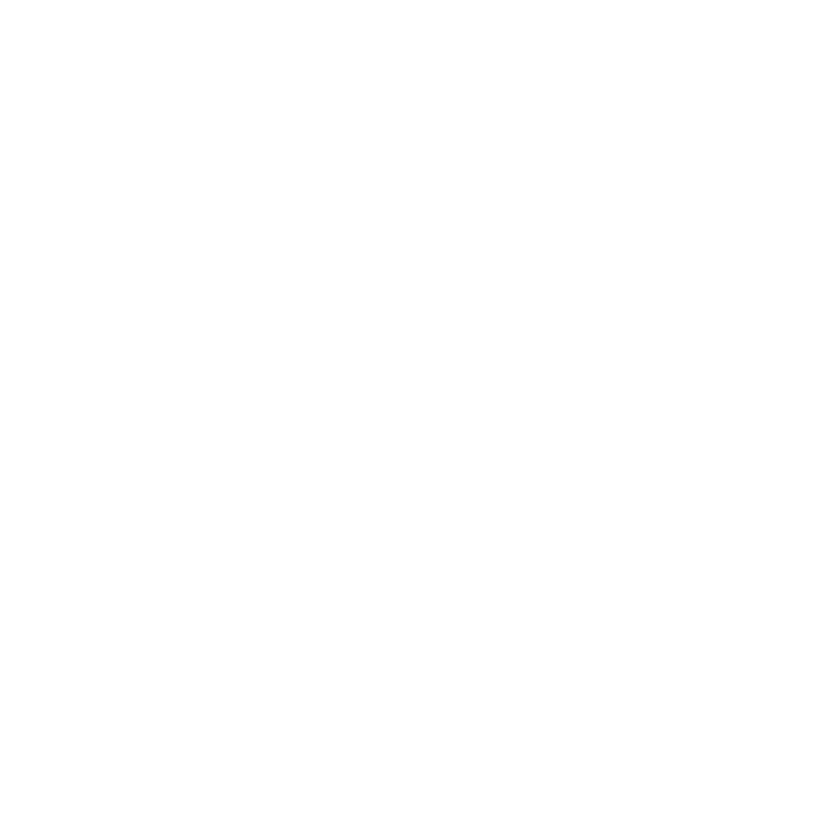 CABBIE NZ - affordable private personal driver New Zealand